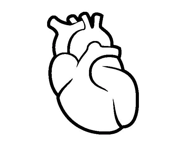 Dibujo de El corazón para Colorear - Dibujos.net Dibujo de El corazón para Colorear - Dibujos.net