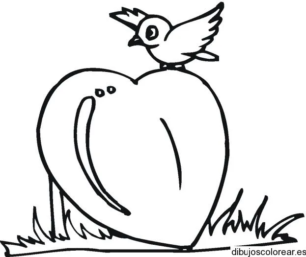 Dibujo de un corazon humano para pintar - Imagui Dibujo de un corazon humano para pintar - Imagui