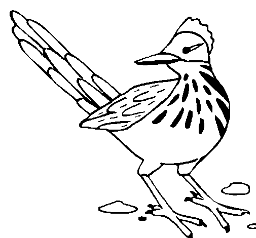 Dibujo de Correcaminos para Colorear - Dibujos.net Dibujo de Correcaminos para Colorear - Dibujos.net