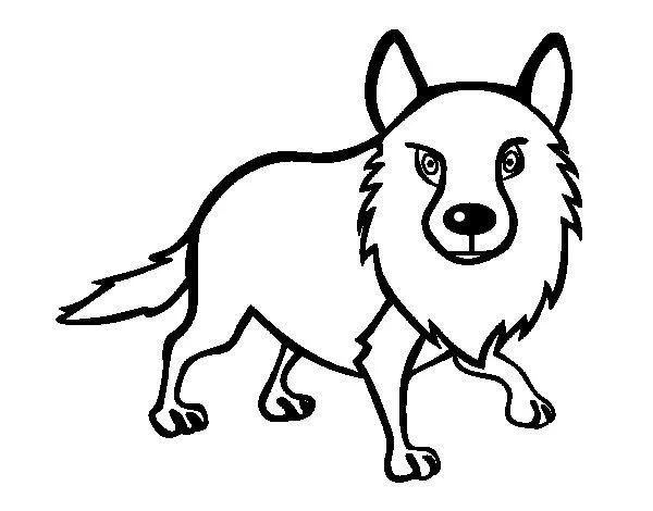 Dibujo de Coyote adulto para Colorear - Dibujos.net Dibujo de Coyote adulto para Colorear - Dibujos.net