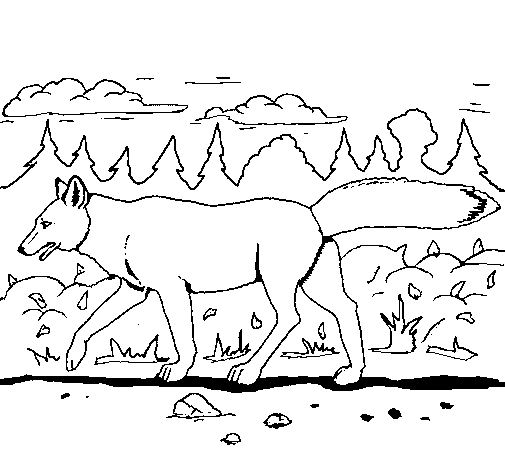Dibujo de Coyote para Colorear - Dibujos.net Dibujo de Coyote para Colorear - Dibujos.net