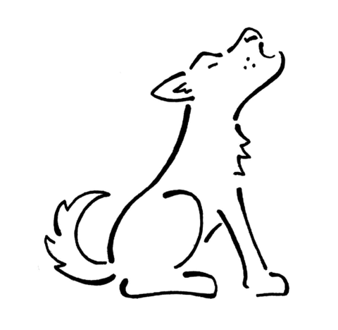 Dibujo de Un Coyote Sentado para colorear | Dibujos para colorear ...