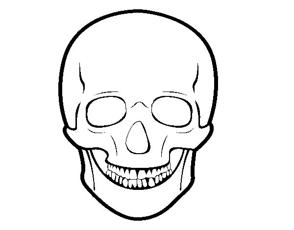 Dibujo de Cráneo humano para Colorear - Dibujos.net Dibujo de Cráneo humano para Colorear - Dibujos.net