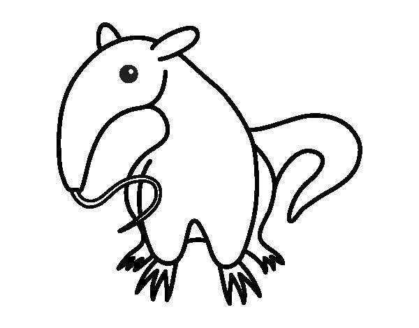 Dibujo de Cría de oso hormiguero para Colorear - Dibujos.net Dibujo de Cría de oso hormiguero para Colorear - Dibujos.net