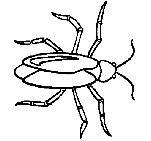 Dibujo de Cucaracha para Colorear - Dibujos.net