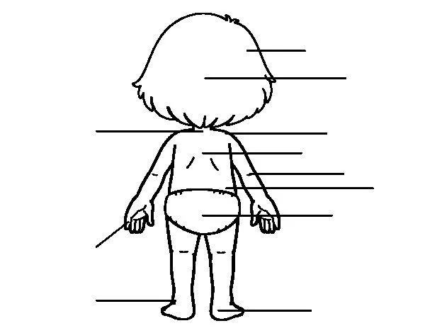 Dibujo de Cuerpo de espaldas para Colorear - Dibujos.net Dibujo de Cuerpo de espaldas para Colorear - Dibujos.net