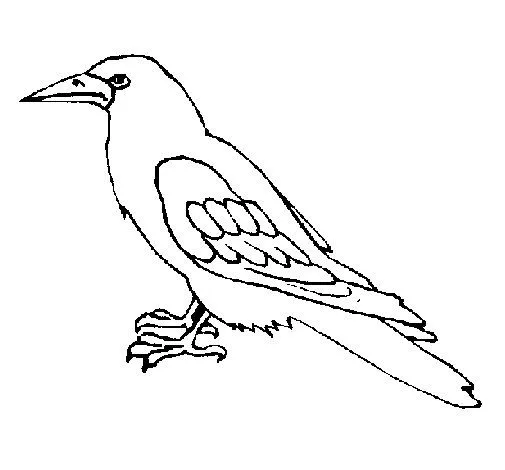 Dibujo de Cuervo para Colorear - Dibujos.net Dibujo de Cuervo para Colorear - Dibujos.net