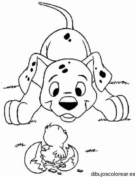 Dibujo de un dálmata olfateando | Dibujos para Colorear