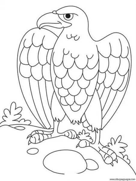 dibujo-de-aguila-003 | Dibujos y juegos, para pintar y colorear dibujo-de-aguila-003 | Dibujos y juegos, para pintar y colorear