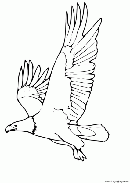 dibujo-de-aguila-017 | Dibujos y juegos, para pintar y colorear dibujo-de-aguila-017 | Dibujos y juegos, para pintar y colorear