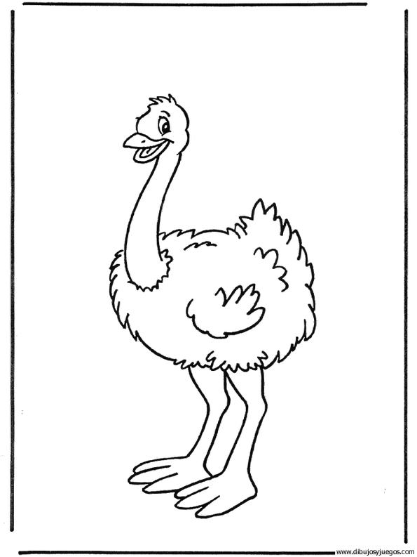 dibujo-de-avestruz-009 | Dibujos y juegos, para pintar y colorear dibujo-de-avestruz-009 | Dibujos y juegos, para pintar y colorear