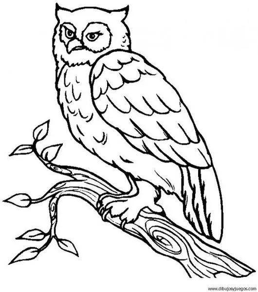 dibujo-de-buho-007 | Dibujos y juegos, para pintar y colorear dibujo-de-buho-007 | Dibujos y juegos, para pintar y colorear