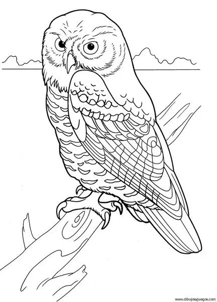 dibujo-de-buho-009 | Dibujos y juegos, para pintar y colorear dibujo-de-buho-009 | Dibujos y juegos, para pintar y colorear
