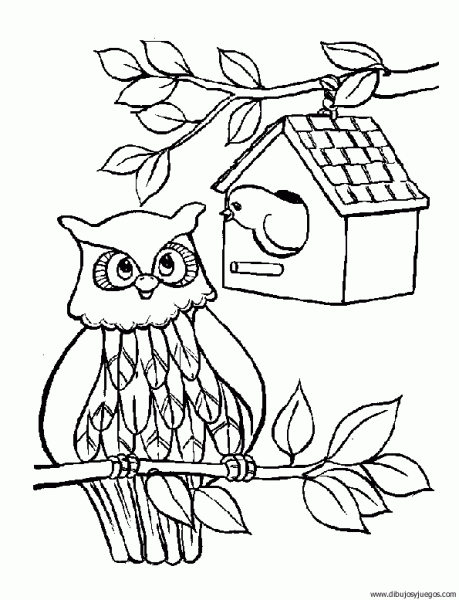 dibujo-de-buho-016 | Dibujos y juegos, para pintar y colorear dibujo-de-buho-016 | Dibujos y juegos, para pintar y colorear