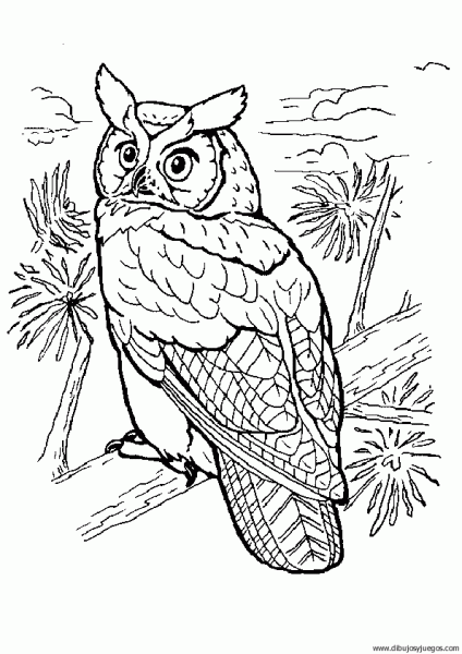 dibujo-de-buho-028 | Dibujos y juegos, para pintar y colorear dibujo-de-buho-028 | Dibujos y juegos, para pintar y colorear