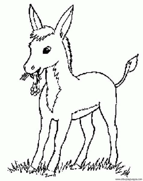 dibujo-de-burro-02 | Dibujos y juegos, para pintar y colorear