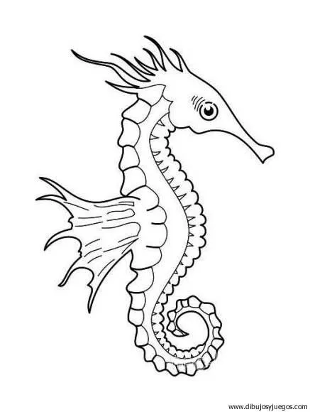 dibujo-de-caballitos-de-mar-008 | Dibujos y juegos, para pintar y ... dibujo-de-caballitos-de-mar-008 | Dibujos y juegos, para pintar y ...