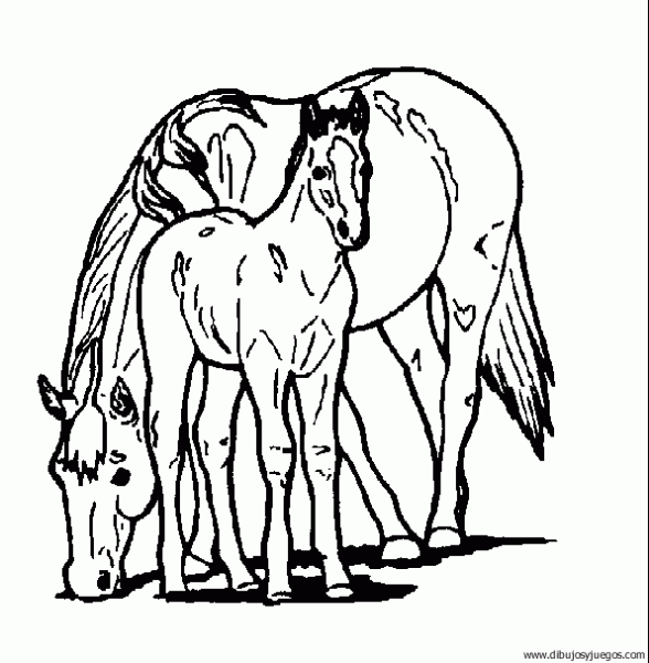 dibujo-de-caballo-009 | Dibujos y juegos, para pintar y colorear dibujo-de-caballo-009 | Dibujos y juegos, para pintar y colorear