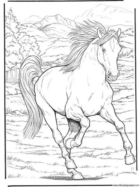 dibujo-de-caballo-044 | Dibujos y juegos, para pintar y colorear