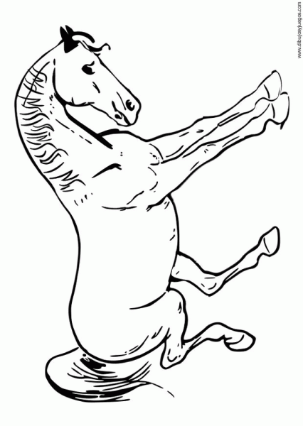 dibujo-de-caballo-062 | Dibujos y juegos, para pintar y colorear dibujo-de-caballo-062 | Dibujos y juegos, para pintar y colorear