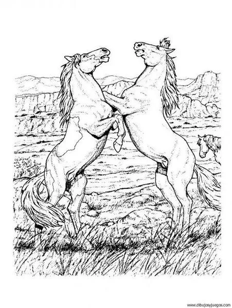 Caballos para dibujar dificiles - Imagui