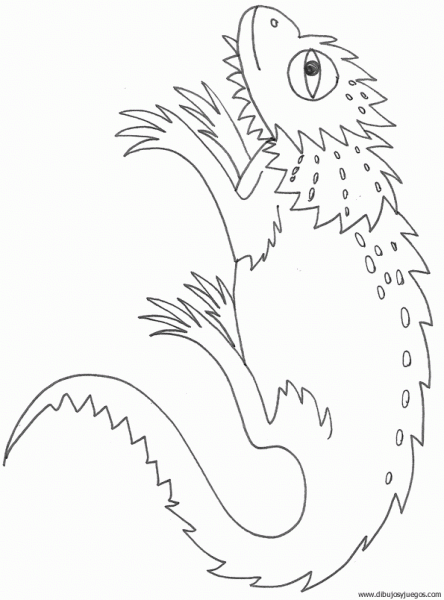 dibujo-de-camaleon-002 | Dibujos y juegos, para pintar y colorear dibujo-de-camaleon-002 | Dibujos y juegos, para pintar y colorear