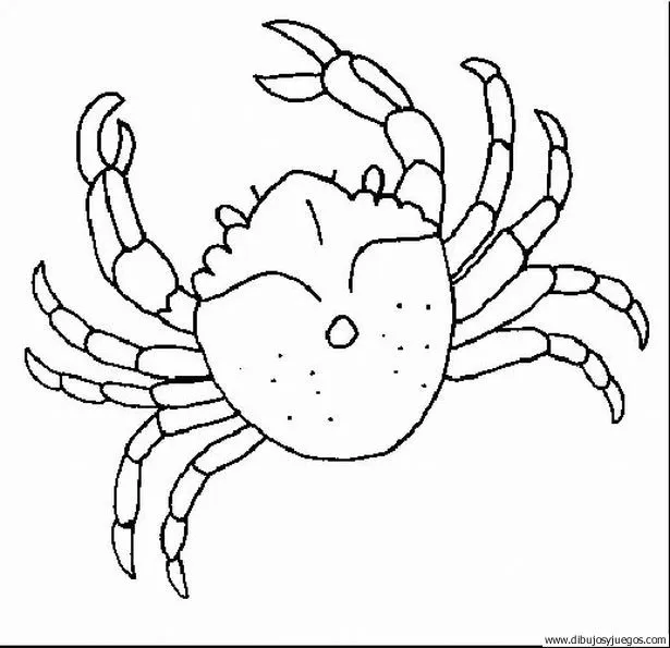 Dibujos de cangrejo - Imagui