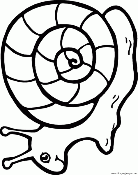 dibujo-de-caracol-12 | Dibujos y juegos, para pintar y colorear dibujo-de-caracol-12 | Dibujos y juegos, para pintar y colorear