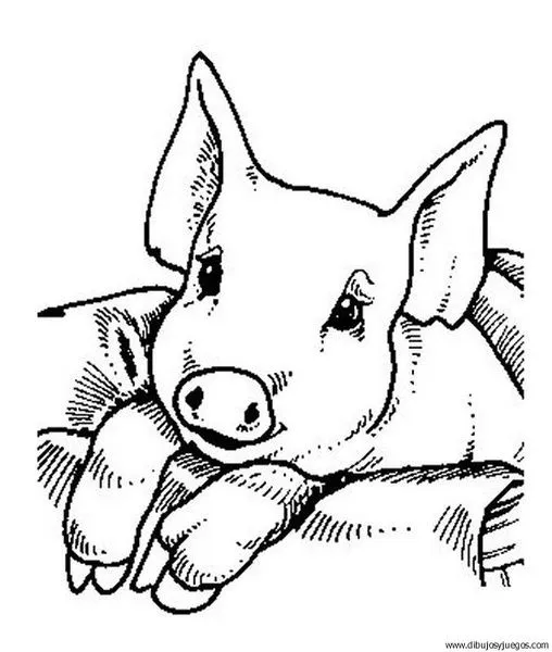 dibujo-de-cerdo-26 | Dibujos y juegos, para pintar y colorear