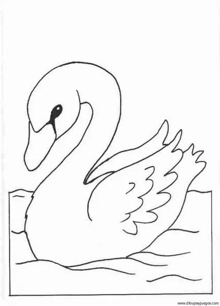 dibujo-de-cisne-001 | Dibujos y juegos, para pintar y colorear