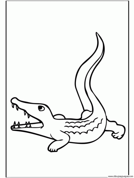 dibujo-de-cocodrilo-026 | Dibujos y juegos, para pintar y colorear dibujo-de-cocodrilo-026 | Dibujos y juegos, para pintar y colorear