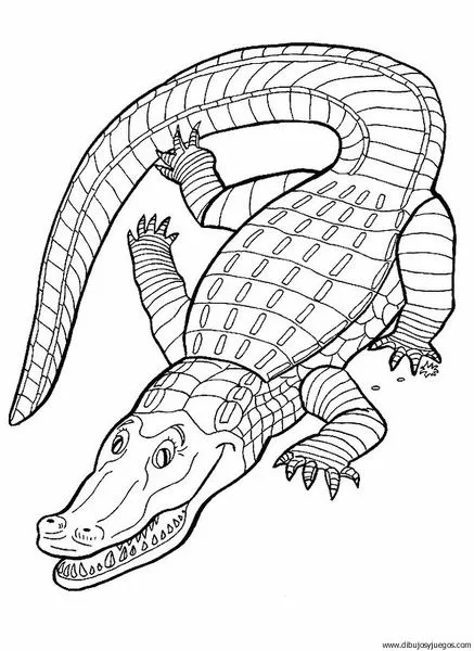 dibujo-de-cocodrilo-44 | Dibujos y juegos, para pintar y colorear dibujo-de-cocodrilo-44 | Dibujos y juegos, para pintar y colorear
