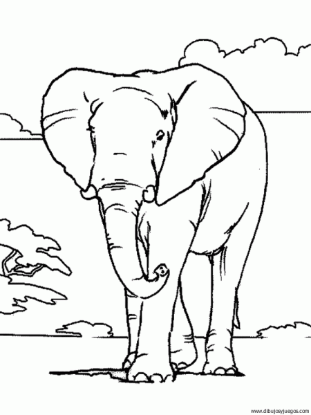 dibujo-de-elefante-063 | Dibujos y juegos, para pintar y colorear dibujo-de-elefante-063 | Dibujos y juegos, para pintar y colorear