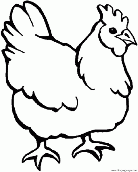 dibujo-de-gallina-005 | Dibujos y juegos, para pintar y colorear