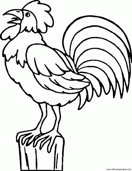 dibujo-de-gallo-013 | Dibujos y juegos, para pintar y colorear