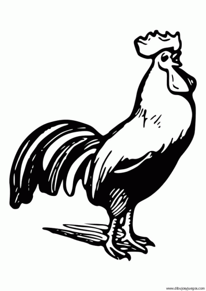 dibujo-de-gallo-034 | Dibujos y juegos, para pintar y colorear