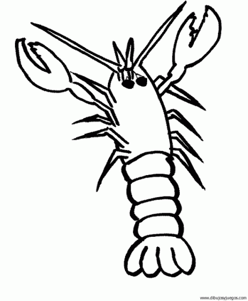 dibujo-de-gamba-cigala-009 | Dibujos y juegos, para pintar y colorear