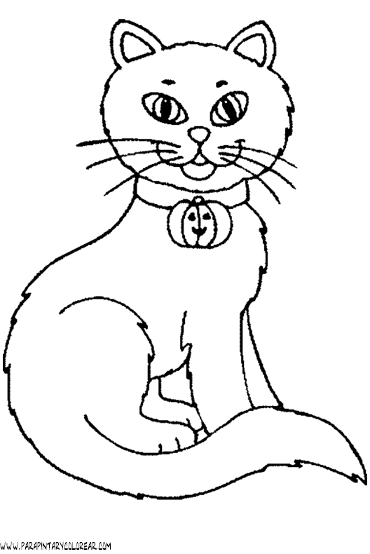 Dibujo de una gato - Imagui