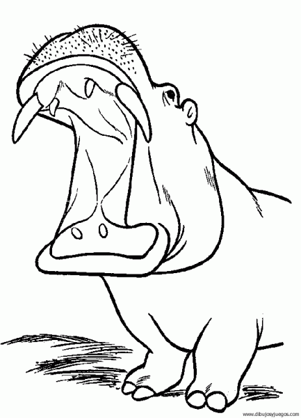 dibujo-de-hipopotamo-001 | Dibujos y juegos, para pintar y colorear dibujo-de-hipopotamo-001 | Dibujos y juegos, para pintar y colorear