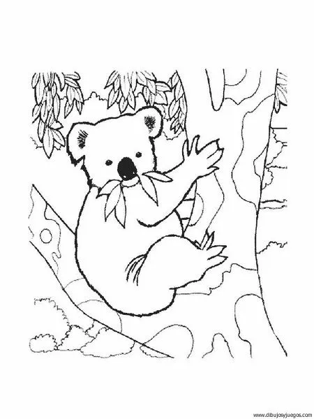 Imagenes de animales australianos infantiles koalas para calcar ...