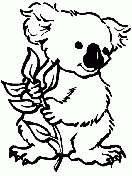 Dibujo de koala para colorear - Imagui