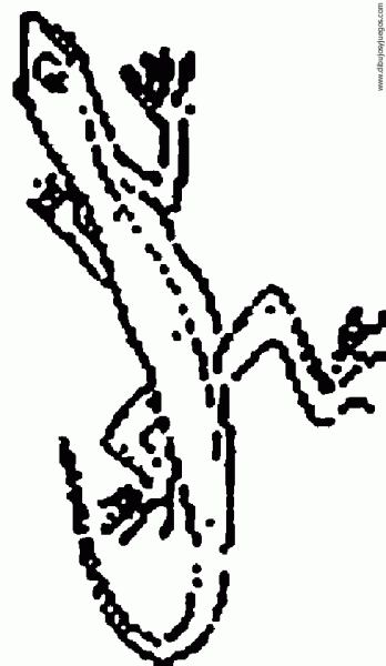 dibujo-de-lagartija-003 | Dibujos y juegos, para pintar y colorear