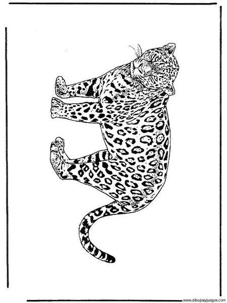 dibujo-de-leopardo-009 | Dibujos y juegos, para pintar y colorear