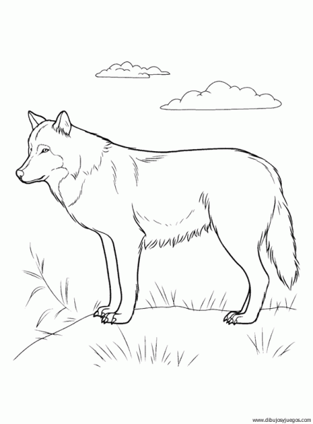 Dibujos para colorear de perros LOBOS - Imagui