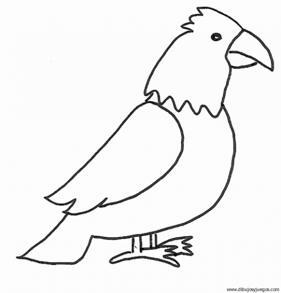 dibujo-de-loro-012 | Dibujos y juegos, para pintar y colorear
