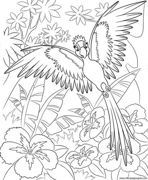 dibujo-de-loro-041 | Dibujos y juegos, para pintar y colorear dibujo-de-loro-041 | Dibujos y juegos, para pintar y colorear