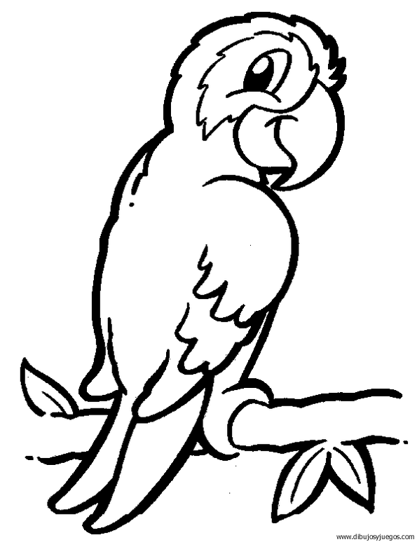 dibujo-de-loro-056 | Dibujos y juegos, para pintar y colorear dibujo-de-loro-056 | Dibujos y juegos, para pintar y colorear