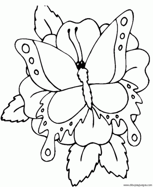 dibujo-de-mariposa-108 | Dibujos y juegos, para pintar y colorear dibujo-de-mariposa-108 | Dibujos y juegos, para pintar y colorear
