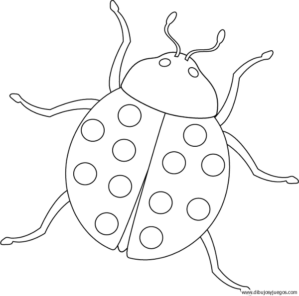 dibujo-de-mariquita-007 | Dibujos y juegos, para pintar y colorear