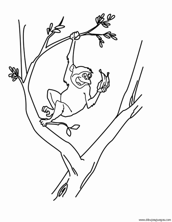 dibujo-de-mono-071 | Dibujos y juegos, para pintar y colorear dibujo-de-mono-071 | Dibujos y juegos, para pintar y colorear